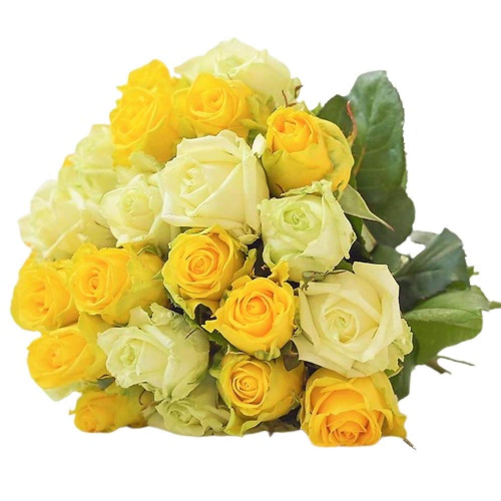 Yellow and white roses 40 cm with flower delivery in Liepaja