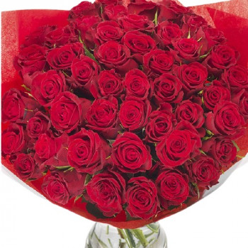 51 red rose 40 cm