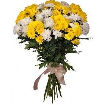 Yellow and white crysanthemums