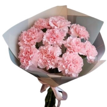 11 carnations in a bouquet