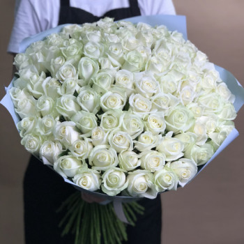 101 длинная белая роза 70 см
