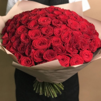 101 red rose 50 cm