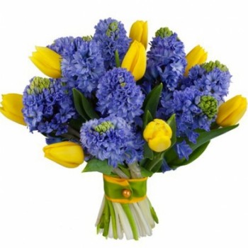 Tulips and hyacinths (17 flowers)
