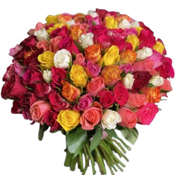 101 different colored roses 40 cm