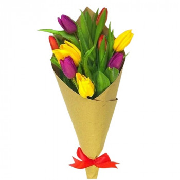 9 tulips in kraft paper