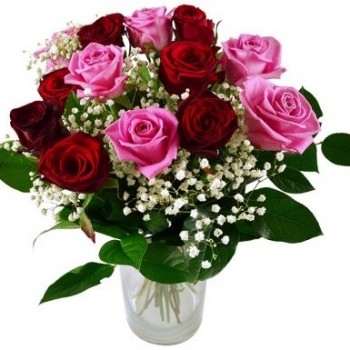 Sarkanas un rozā rozes 40 cm ar zaļumiem