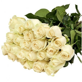 Белые розы 50 см (выбери кол-во роз в букете)