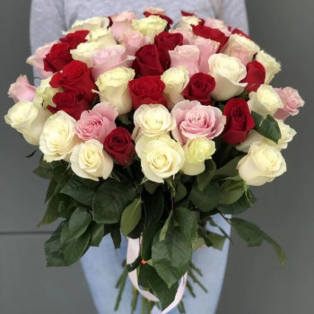 51 balta, sarkana un rozā roze 50 cm