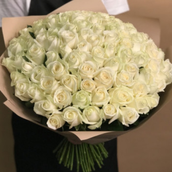 101 white rose 50 cm
