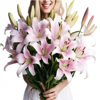 5 Pink lilies