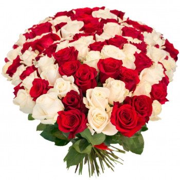 101 red and white rose 40 cm