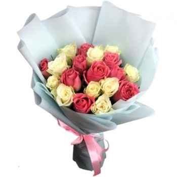 Белые и розовые розы 40 см в упаковке