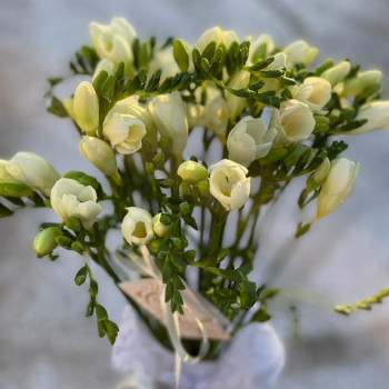 Bouquet of 25 freesias