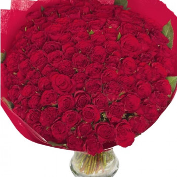 101 red rose 40 cm