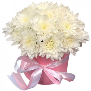 White chrysanthemums in a flower box