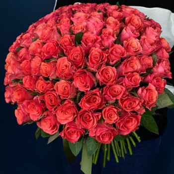 101 pink rose 40 cm