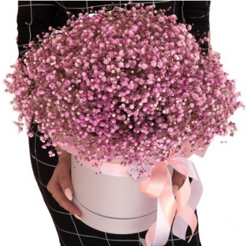 Pink gypsophila in a hat box (order 4 days in advance)