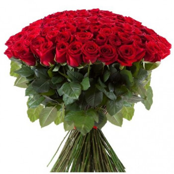101 Red Rose 60 cm