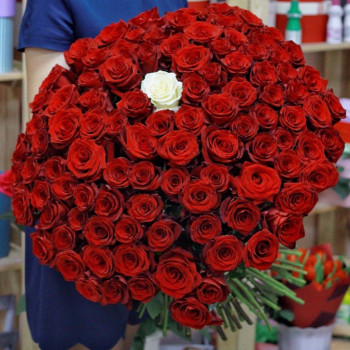 101 rose 70 cm For Queen