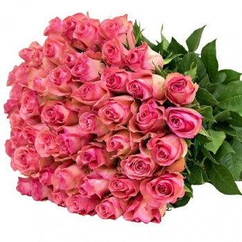 Rozā rozes 50 cm (izvēlies rožu daudzumu)