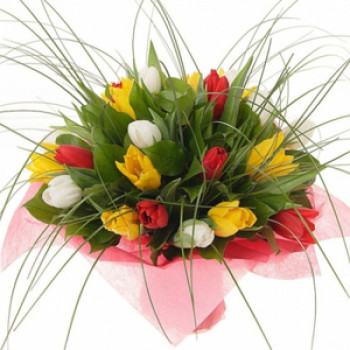 Bouquet of tulips (25 pcs)