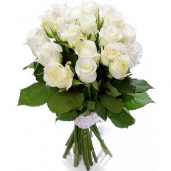 Baltas rozes 40 cm (maināms ziedu daudzums)