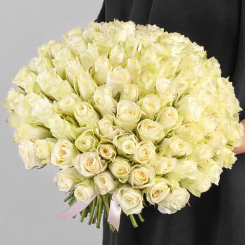 101 white rose 40 cm