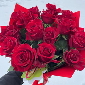 15 sarkanas rozes 40 cm floristiskā iepakojumā