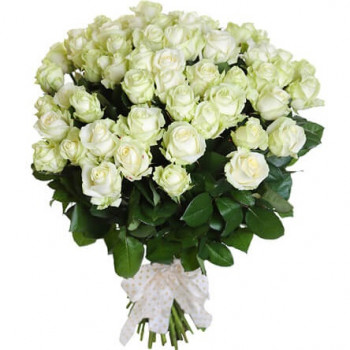 51 white rose 50 cm