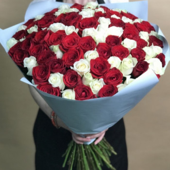 101 Red and White Rose 70 cm
