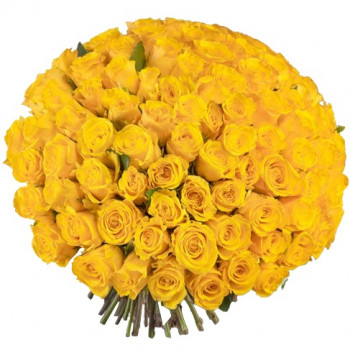 101 yellow rose 40 cm