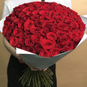 101 длинная красная роза 70 см